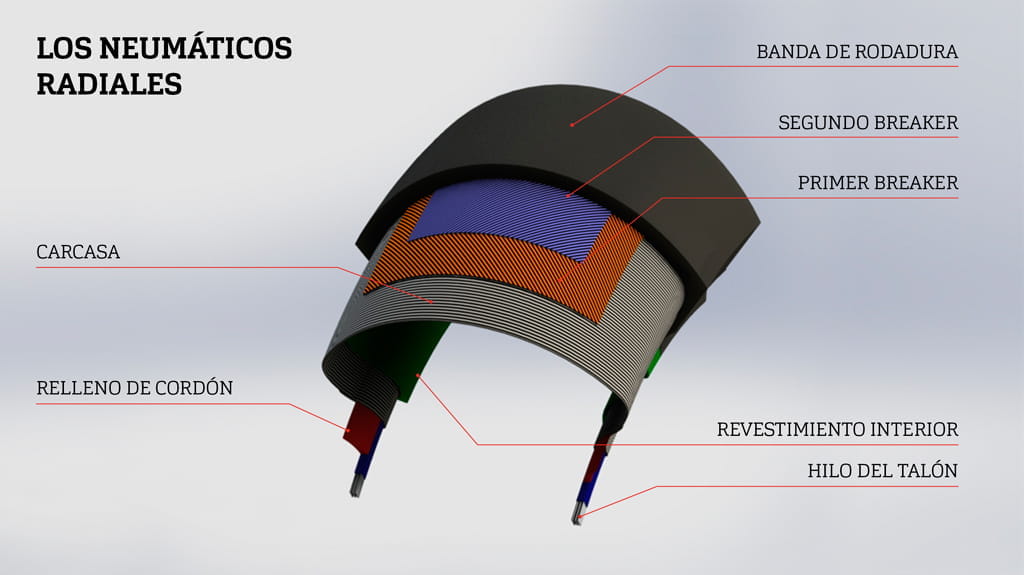 ES-LOS-NEUMATICOS-RADIALES